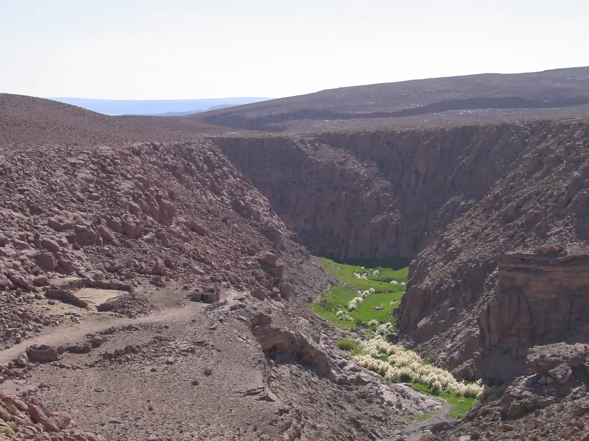 Quebrada del río Puritama con vegetación junto al agua
